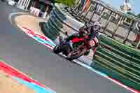 Vintage-motorcycle-club;eventdigitalimages;mallory-park;mallory-park-trackday-photographs;no-limits-trackdays;peter-wileman-photography;trackday-digital-images;trackday-photos;vmcc-festival-1000-bikes-photographs